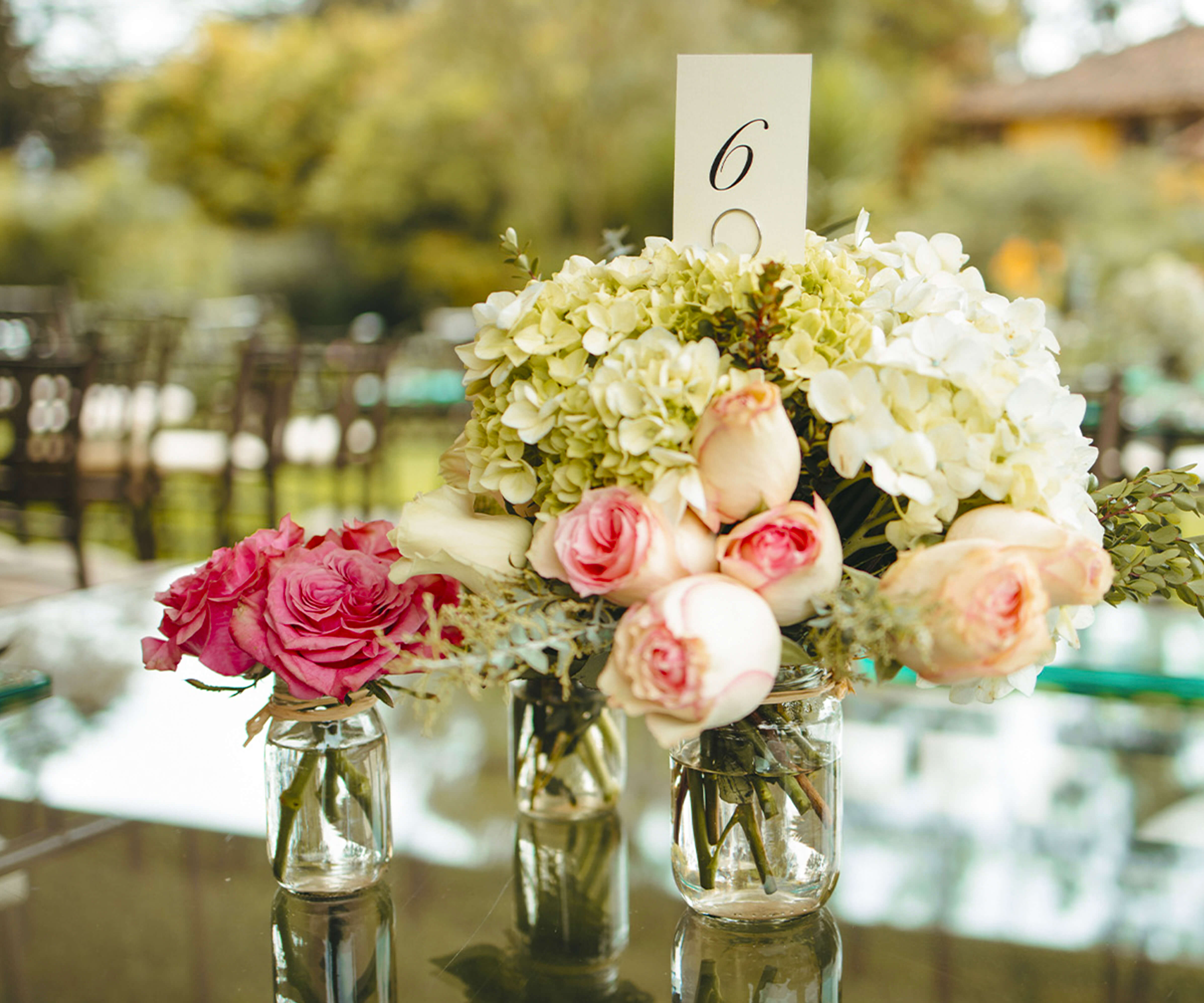 image_banner